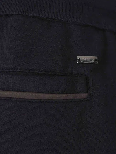 Herno Pleat-detailed Trousers In Blue