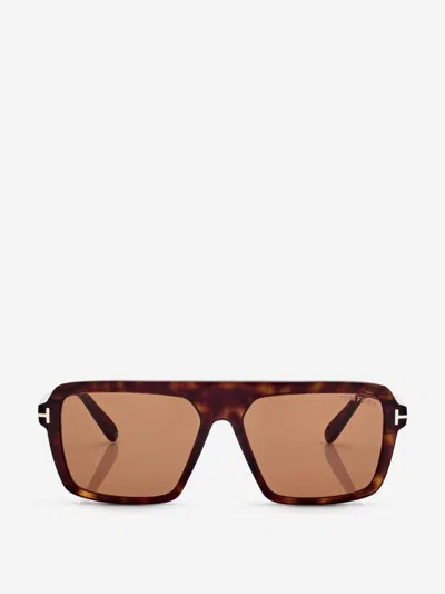 Tom Ford Square Sunglasses In Brown