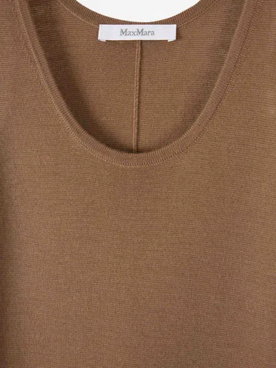 Max Mara Aceri Midi Dress In Brown