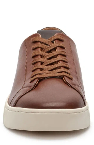 Vince Camuto Men's Rafferty Leather Sneakers In Brown