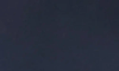 Weekend Max Mara Gommoso Pleated Cotton Midi Dress In Blue