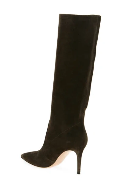 Gianvito Rossi Hansen Suede Pointed-toe Knee Boots In Brown