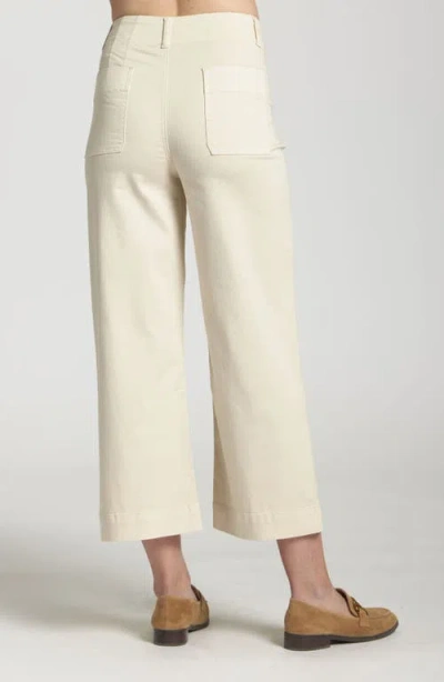 Apny Wide Leg Ankle Jeans In Neutral