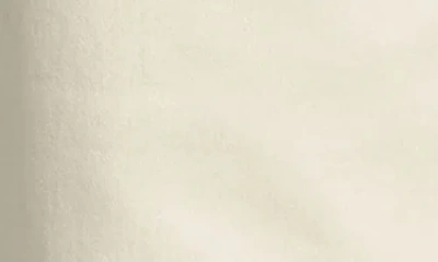 Apny Wide Leg Ankle Jeans In Neutral