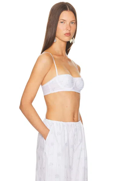 Helsa Bra Top In Multi