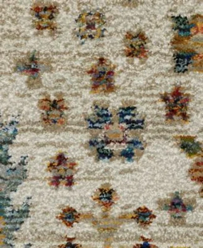 Oriental Weavers Andorra 2449b Area Rug, 7'10 X 10'10 In Multi