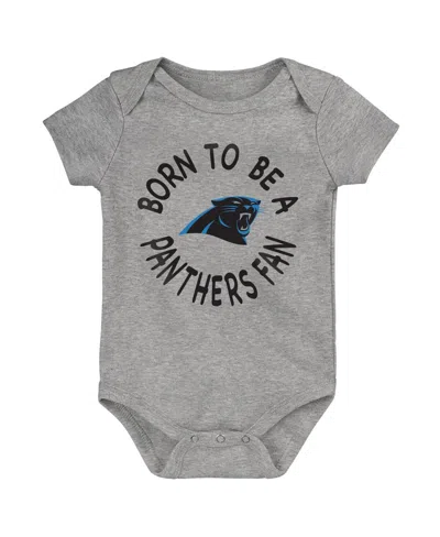 Outerstuff Little Boys Black/blue/gray Carolina Panthers Born To Be 3-pack Bodysuit Set In Multi