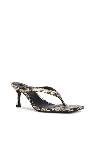 Senso Elvie Iii Sandal In Animal Print