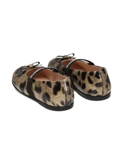 Dolce & Gabbana Leopard-print Bow Ballerinas In Animal Print