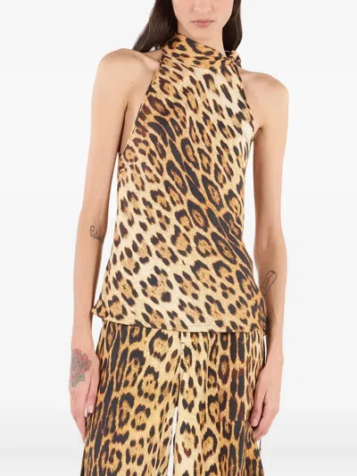 Roberto Cavalli Leopard-print Halter-neck Top In Animal Print