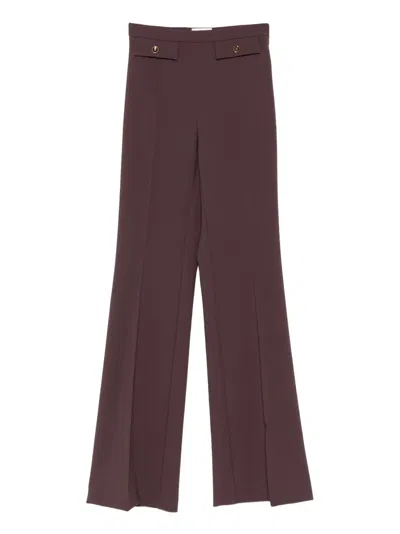 Elisabetta Franchi High-waisted Flared Pants With Decorative Button Details In Burgundy