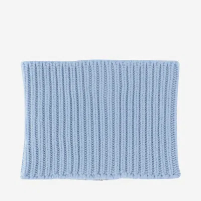 Sa Su Phi Cashmere Knit Cashmere Collar Scarf In Blue
