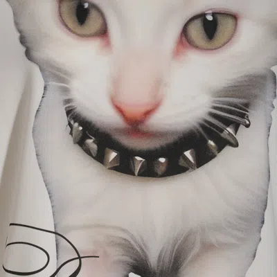 Blumarine Cotton T Shirts In Multi