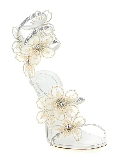 René Caovilla Rene Caovilla Leather Peach Flower Sandals In White