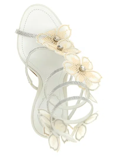 René Caovilla Rene Caovilla Leather Peach Flower Sandals In White