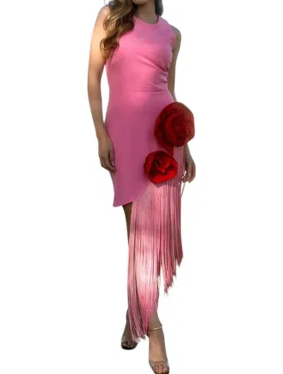 Cayro Woman Valentina Dress In Pink In Pink