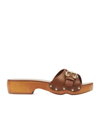 Chloé Jeannette Leather Buckle Clog Sandals In Brown