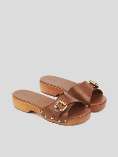 Chloé Jeannette Leather Buckle Clog Sandals In Brown