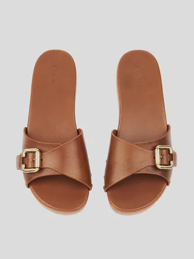 Chloé Jeannette Leather Buckle Clog Sandals In Brown