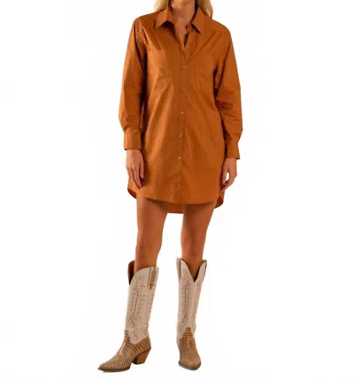 Care Tucker Basic Preslie Poplin Shirt Mini Dress In Terracotta In Brown