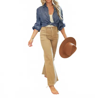 Miou Muse Cotton Stretch Pants In Artichoke In Brown