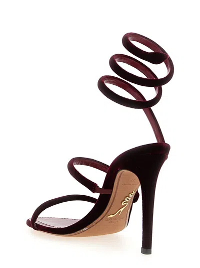 René Caovilla Cleo Sandals Bordeaux