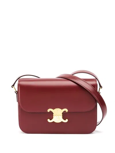 Celine Women Classique Triomphe Leather Crossbody Bag In Multi