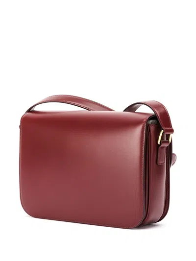Celine Women Classique Triomphe Leather Crossbody Bag In Multi
