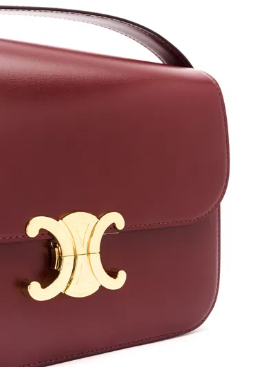 Celine Women Classique Triomphe Leather Crossbody Bag In Multi