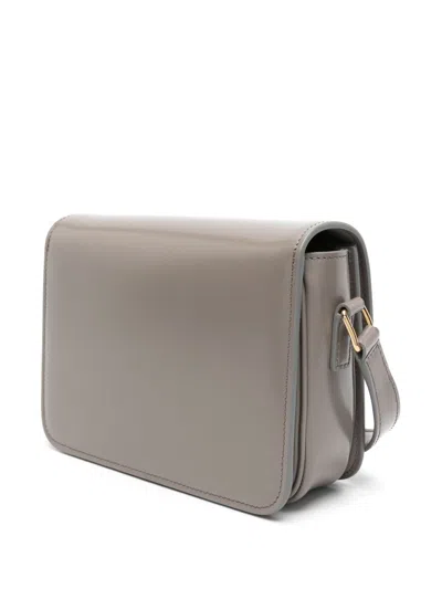 Celine Women Triomphe Leather Crossbody Bag In Multi