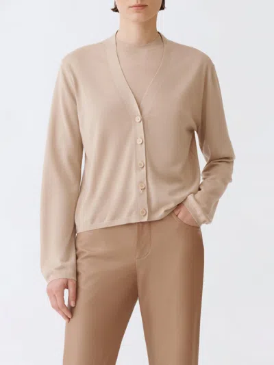 Fabiana Filippi Knitwear V-neckline Long Sleeves Ribbed Hem In Brown