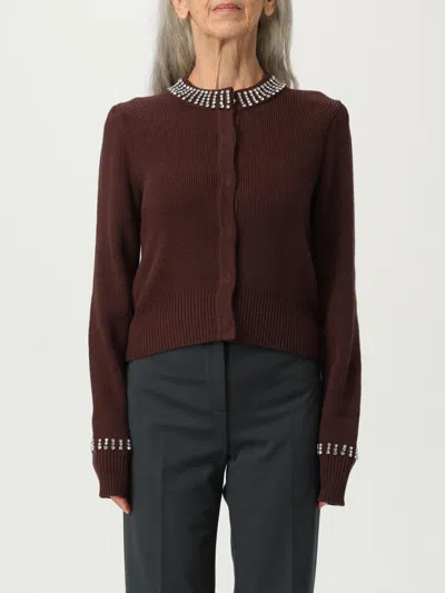 Pinko Spezzino Cardigan In Brown