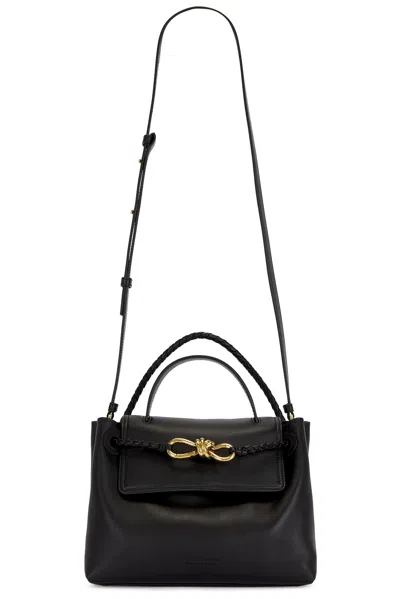 Bottega Veneta Small Ciao Ciao Bag