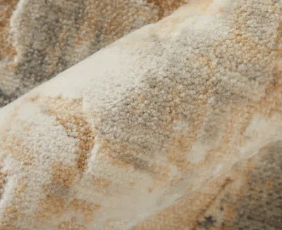 Feizy Jaxson 39pwf Area Rug, 5' X 7'6 In Multi