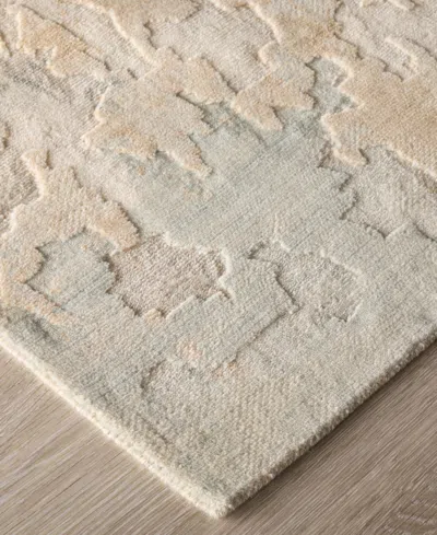 Feizy Jaxson 39saf 4'x6' Area Rug In Multi