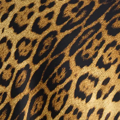 Roberto Cavalli Silk Skirt With Jaguar Skin Print In Brown