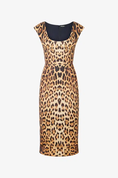 Roberto Cavalli Womens Naturale Leopard-print Woven Midi Dress In Brown
