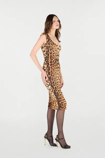 Roberto Cavalli Womens Naturale Leopard-print Woven Midi Dress In Brown