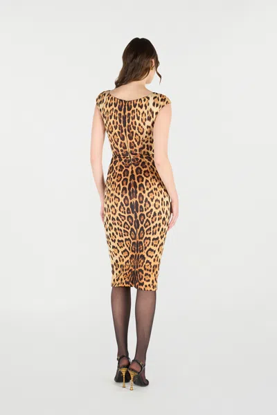 Roberto Cavalli Womens Naturale Leopard-print Woven Midi Dress In Brown