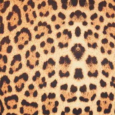 Roberto Cavalli Womens Naturale Leopard-print Woven Midi Dress In Brown