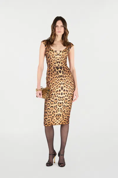 Roberto Cavalli Womens Naturale Leopard-print Woven Midi Dress In Brown
