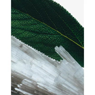 Jo Malone London Womens Wood Sage & Sea Salt Cologne 100ml