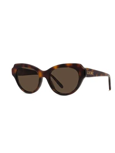 Loewe Womens Havana Gsliessx01 Cat-eye Frame Acetate Sunglasses In Brown
