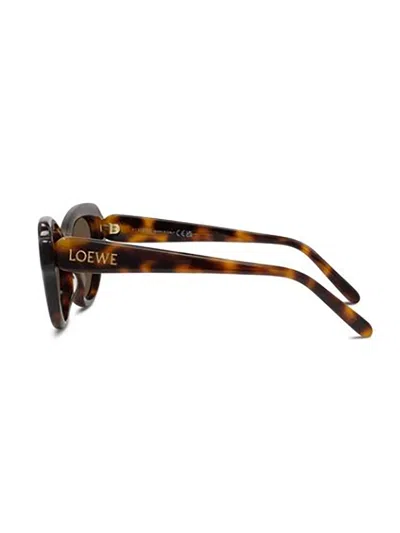 Loewe Womens Havana Gsliessx01 Cat-eye Frame Acetate Sunglasses In Brown