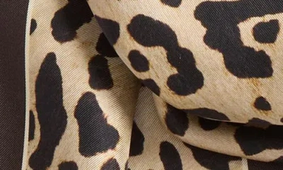 Valentino Garavani Leopard Print Twill Fringe Scarf In Gray