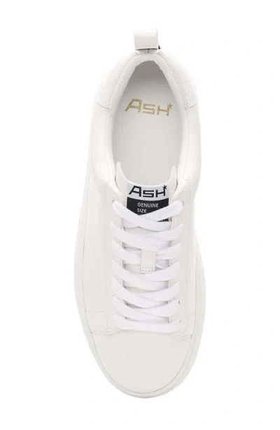 Ash Maya Platform Sneaker In White