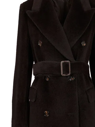 Tagliatore Waist Belted Lapel Buttoned Jacket In Black