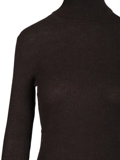 P.a.r.o.s.h Ribbed Wool Turtleneck Knitwear Brown In Brown