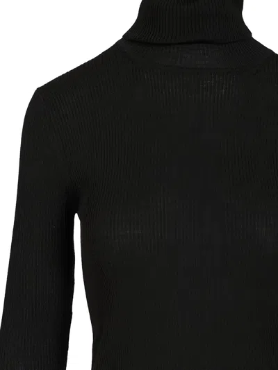 P.a.r.o.s.h Leila Wool Turtleneck Sweater In Black
