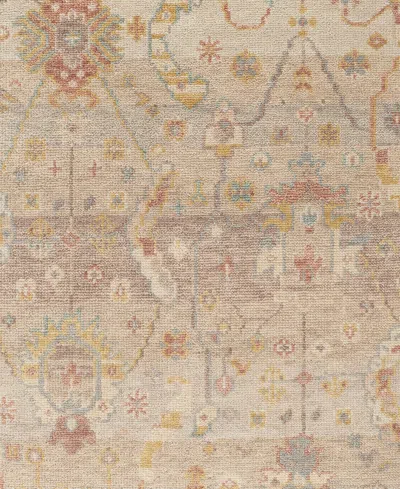 Dash And Albert Rugs By Annie Selke Nora Da2310 6'x9' Area Rug In Brown